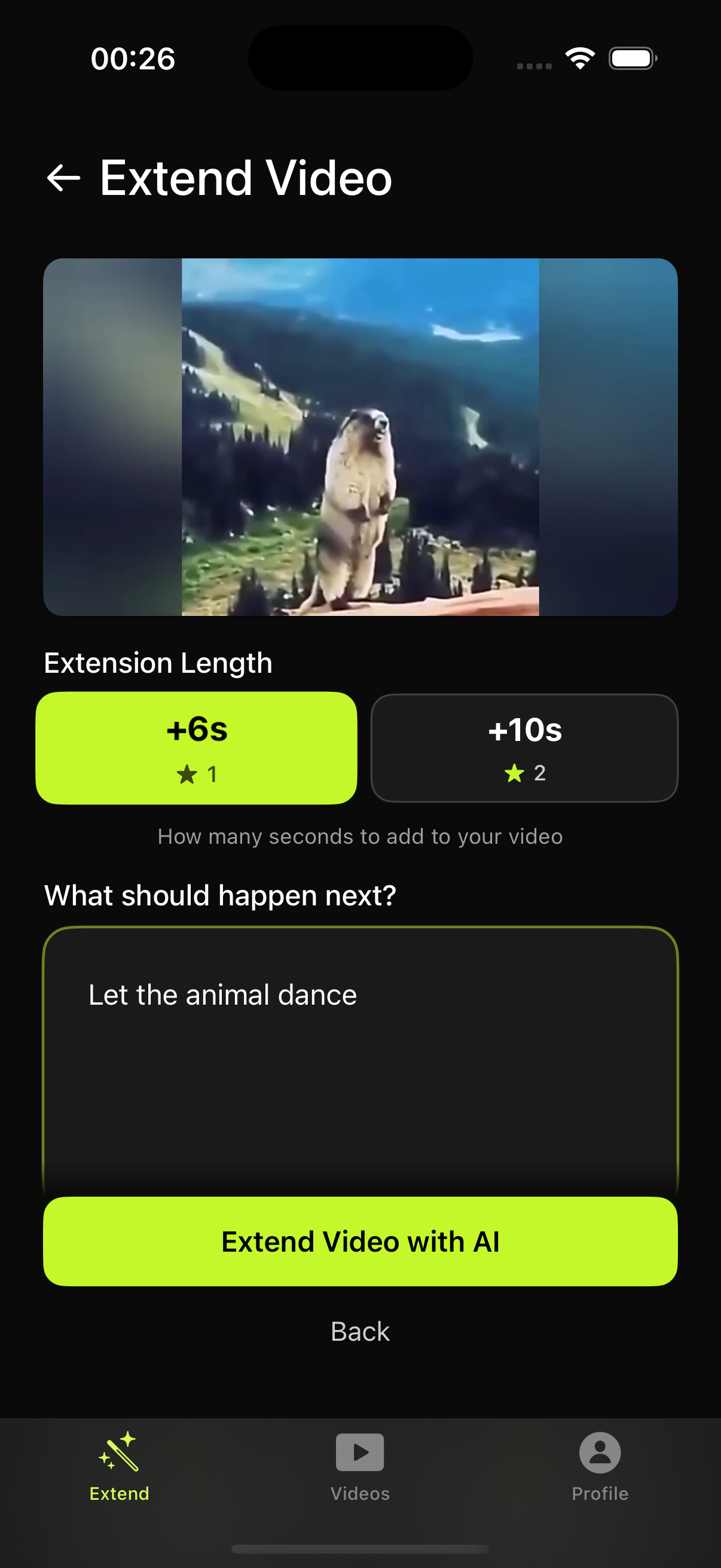 Create Video Interface